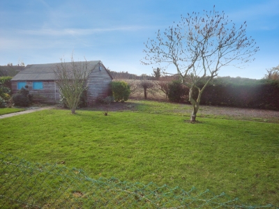 Picture 5